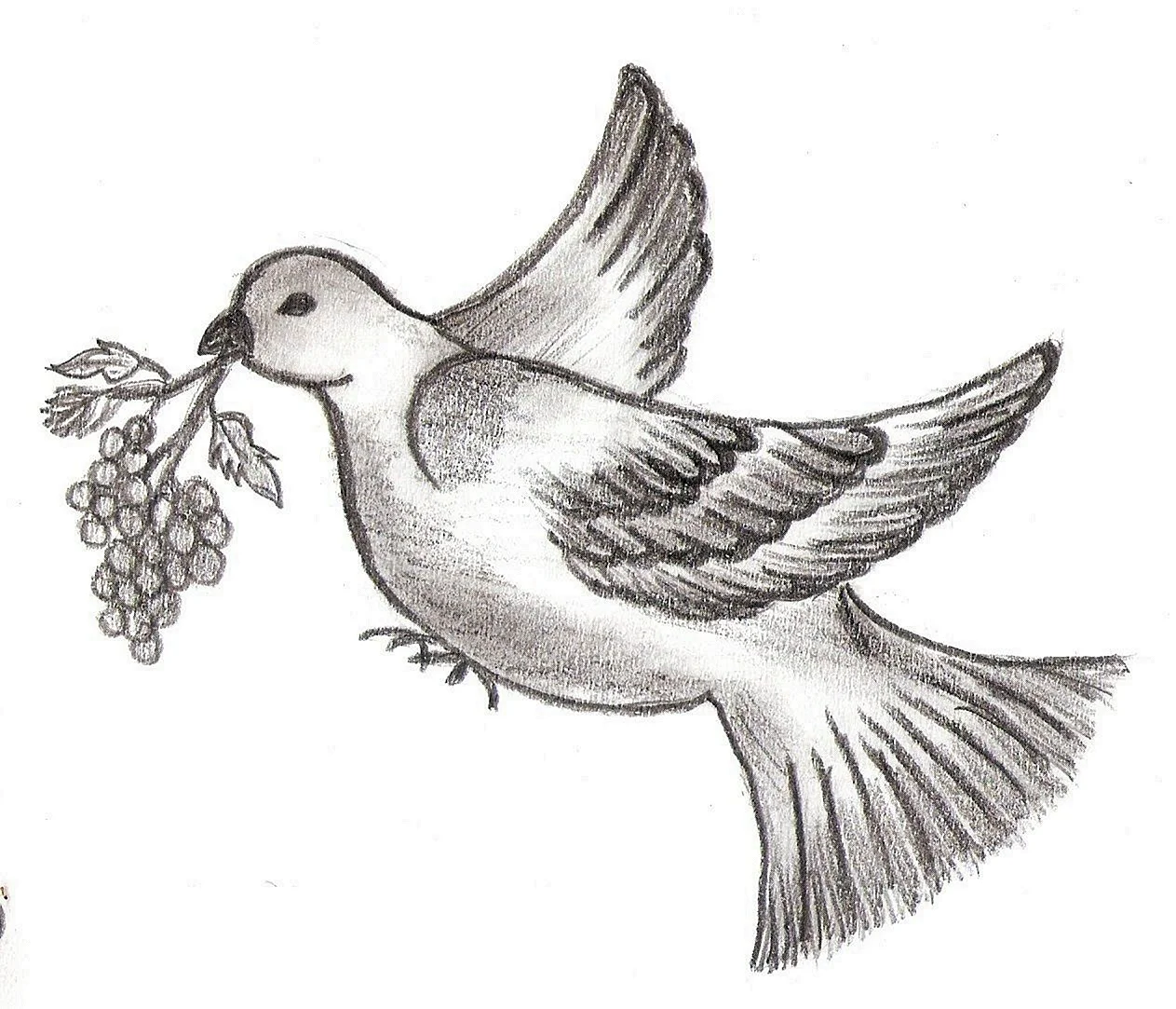 Рисунки птичек для срисовки