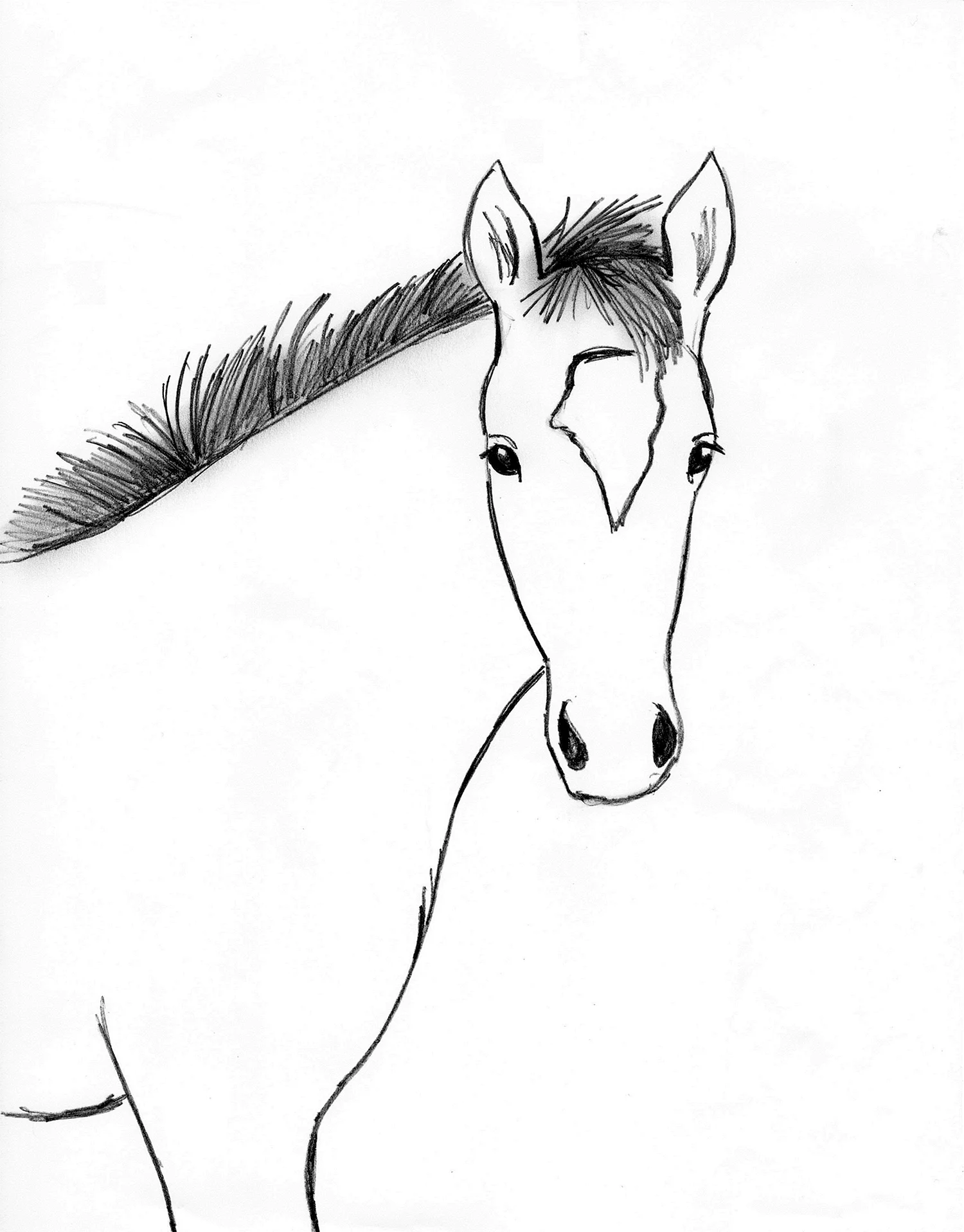 Рисунок лошади для срисовки легкие