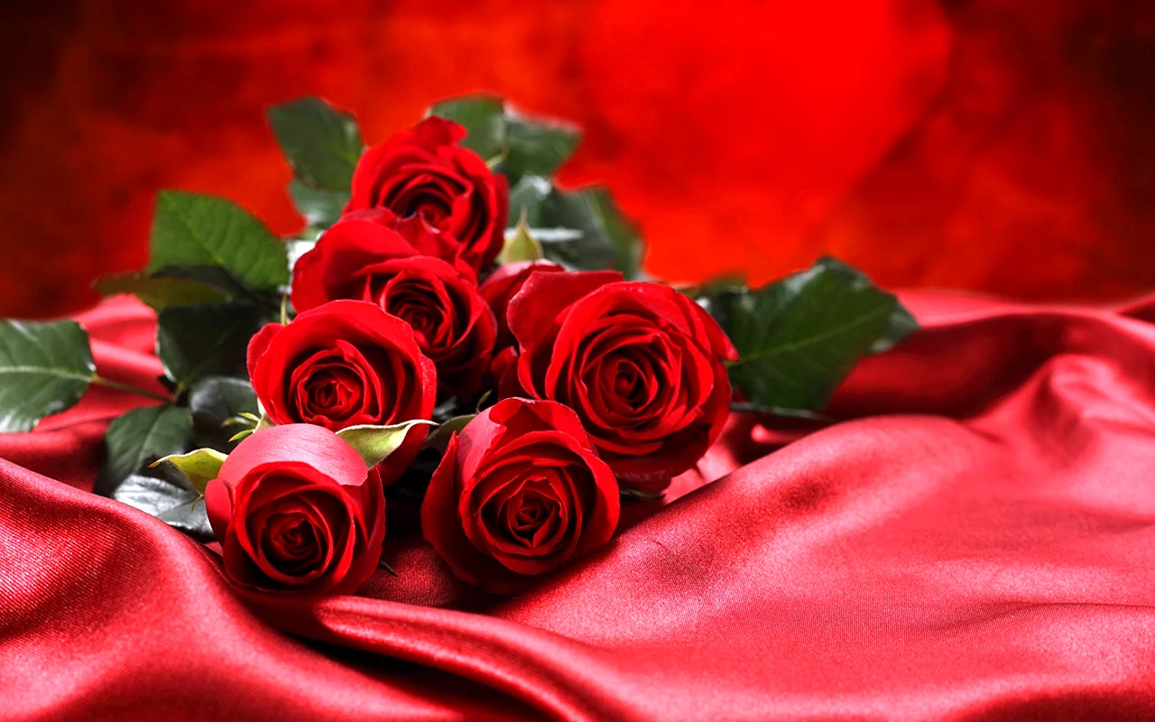 Роскошные красные розы