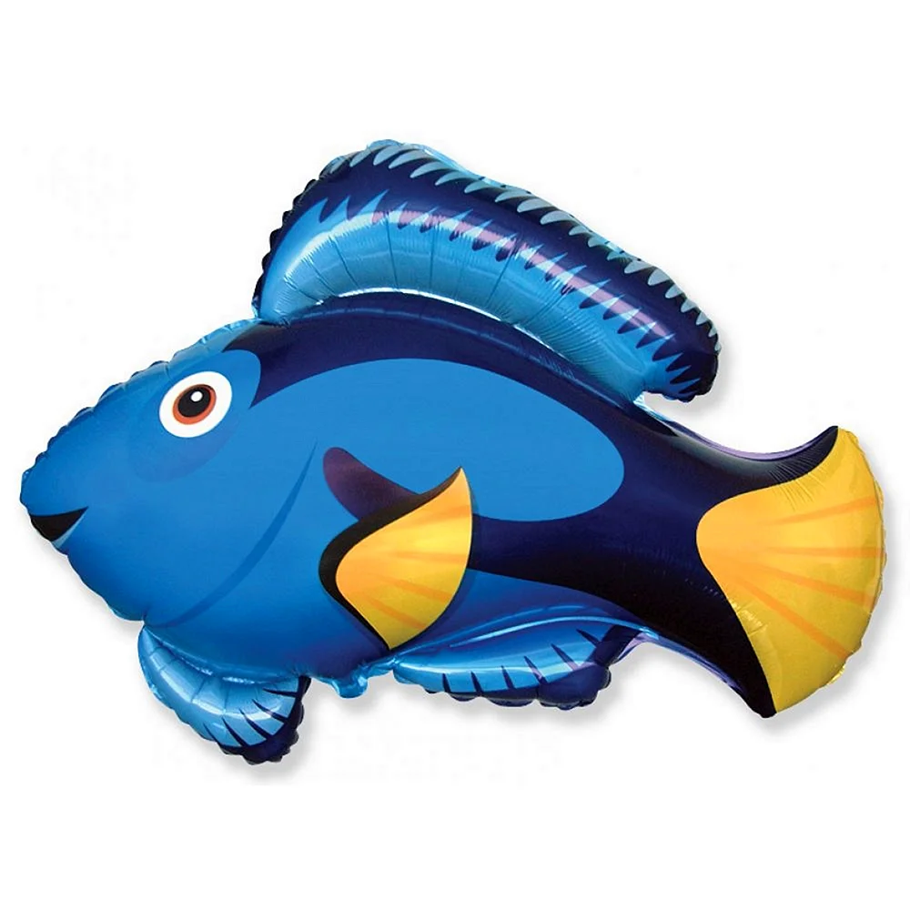 Рыбка синий