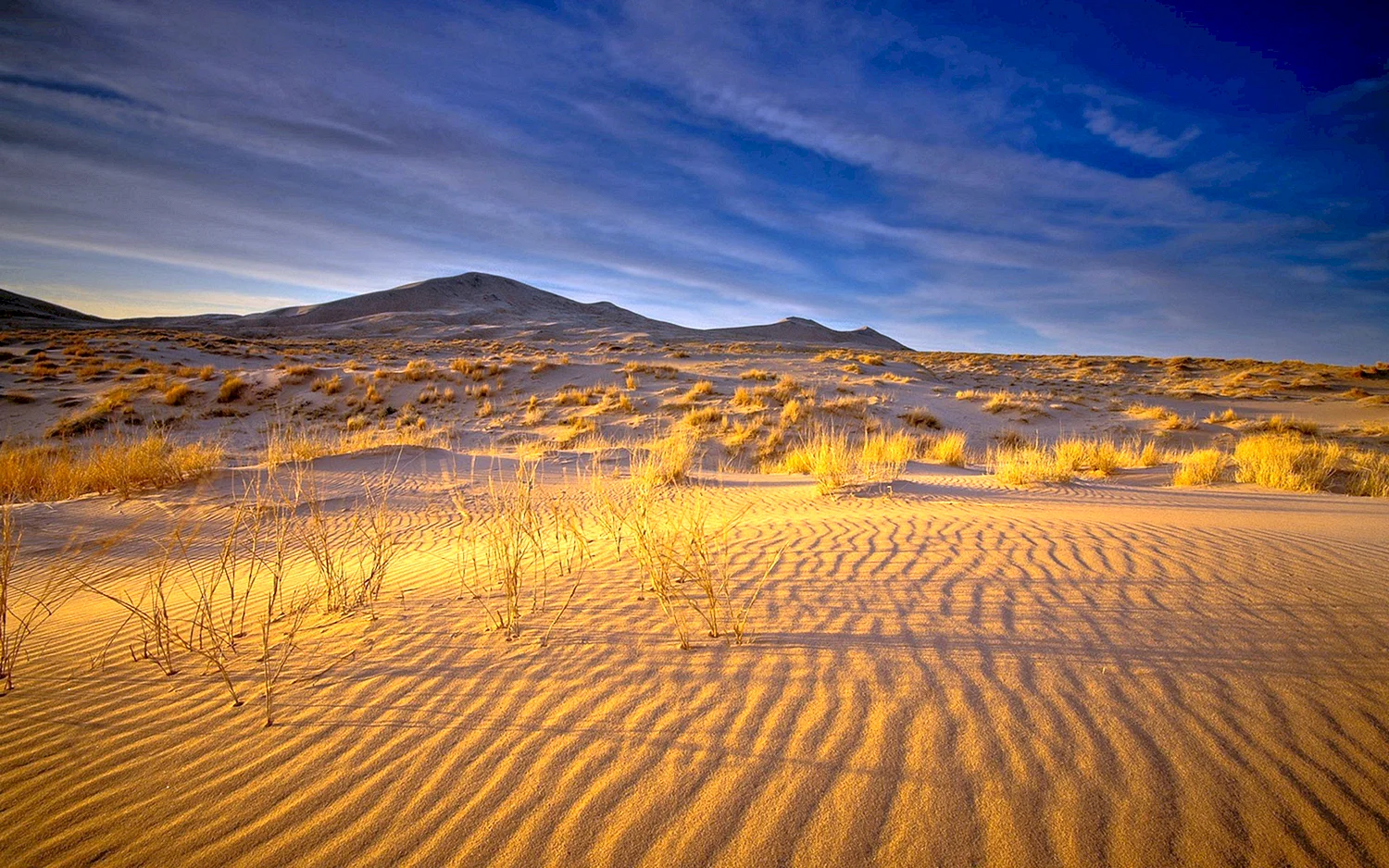 Рын-Пески пустыня