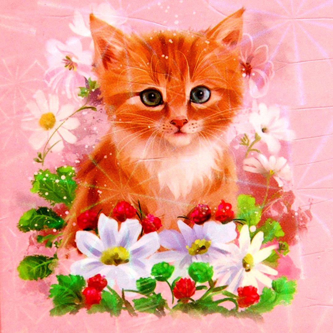 С днем рождения котенок с цветами