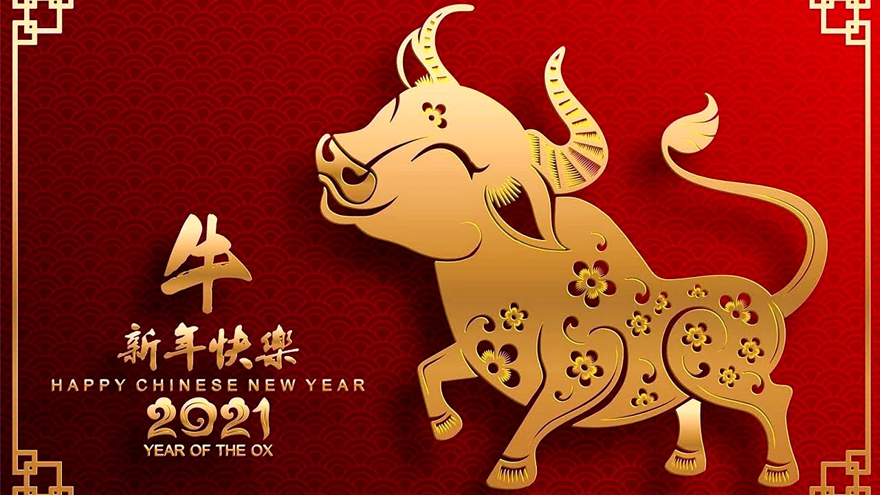 С китайским новым годом быка