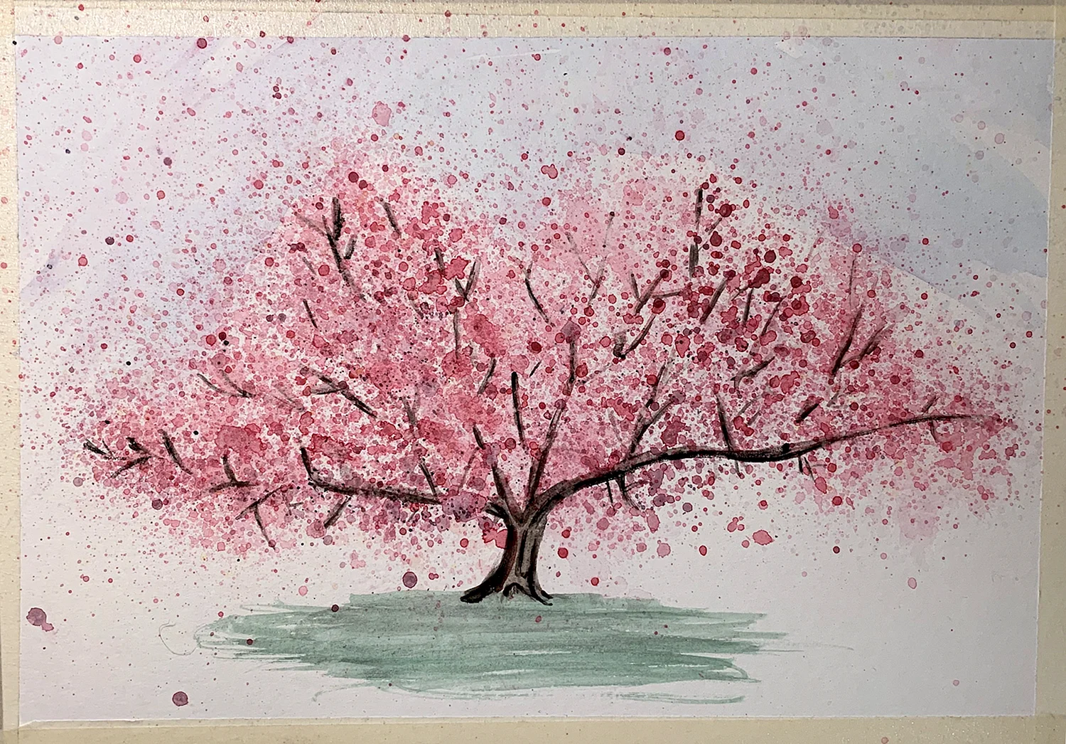 Сакура дерево рисунок акварелью