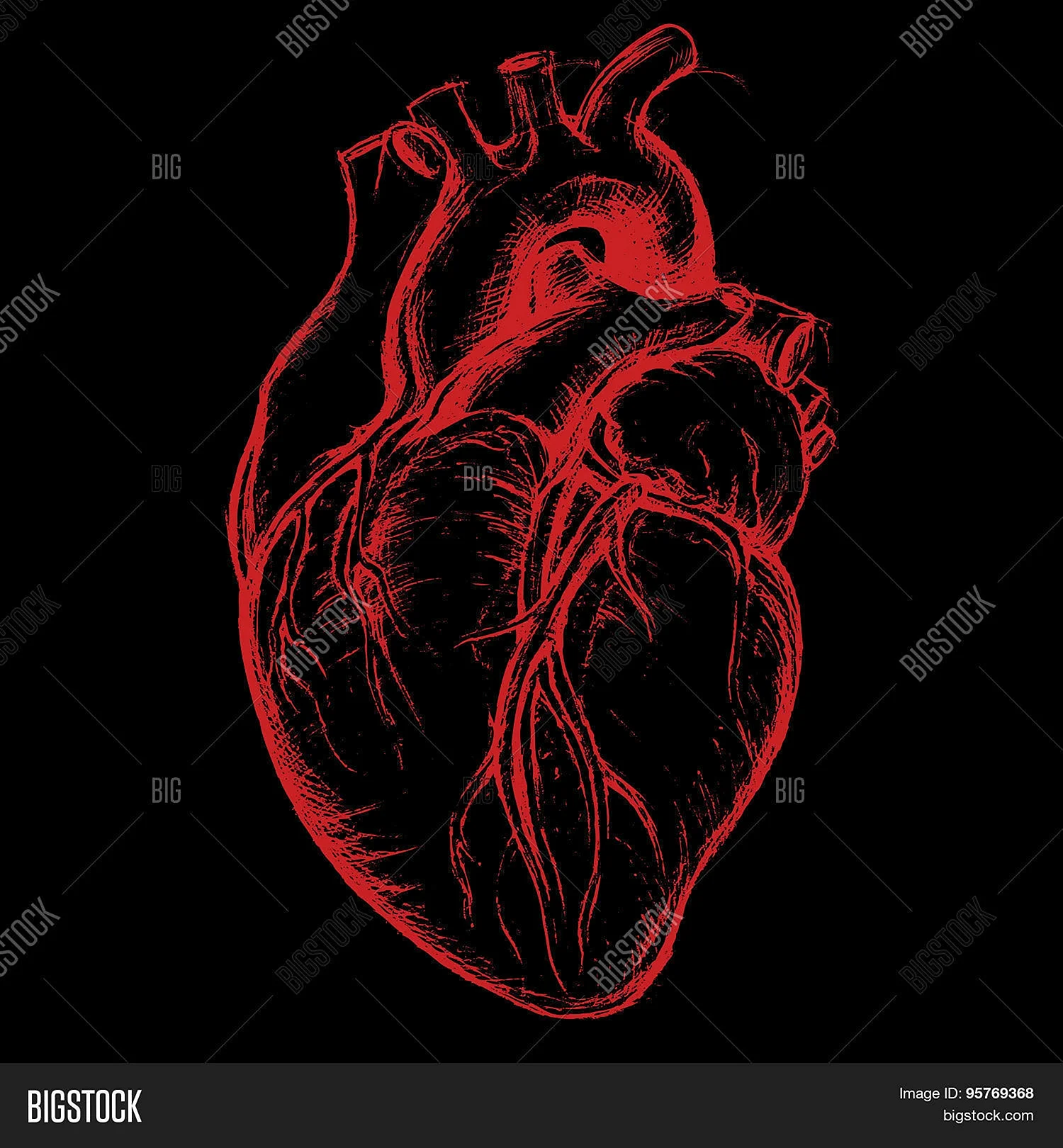 Сердце человека на черном фоне