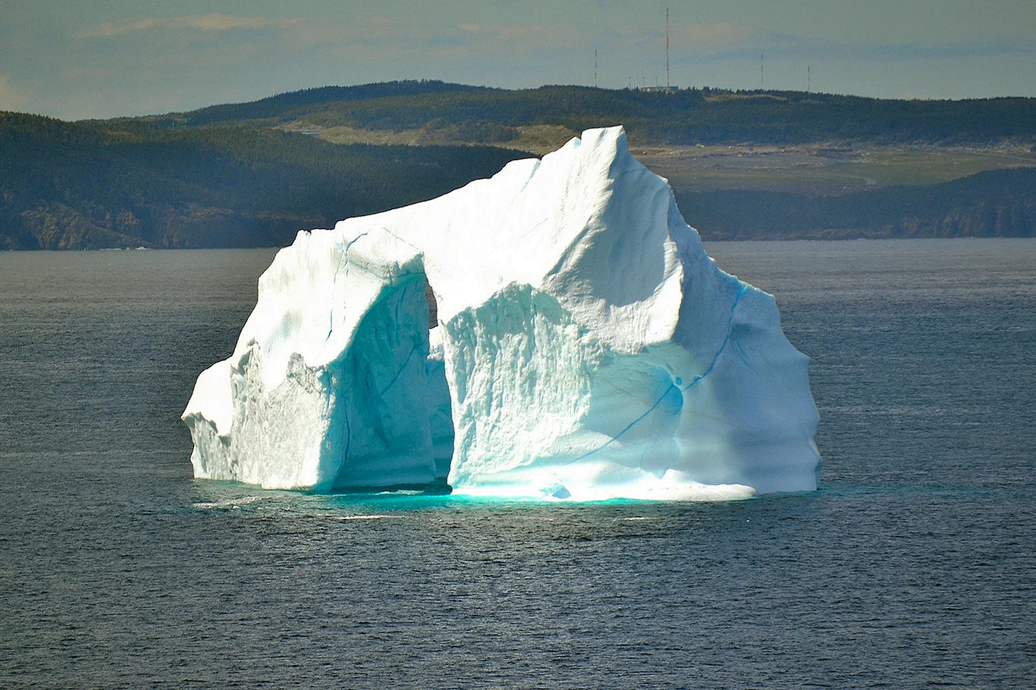 Шельфовые ледники Антарктиды