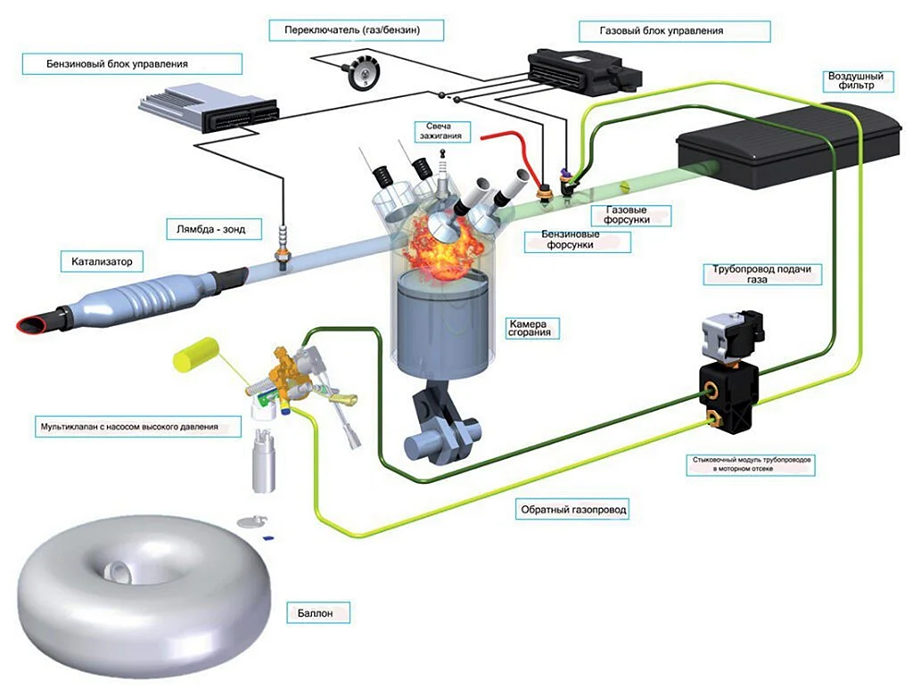 Схема газового оборудования 4 поколения Некст