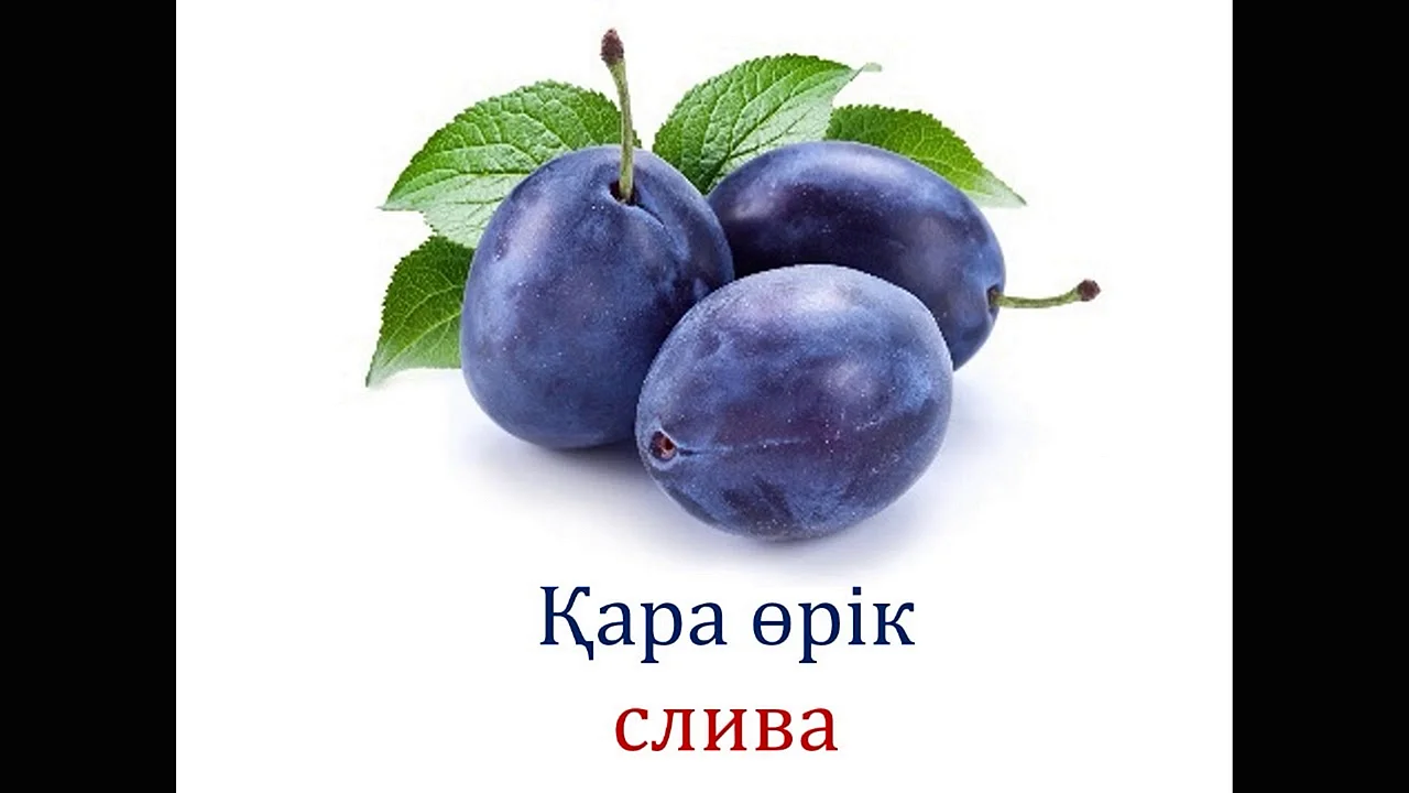 Слива чернослив