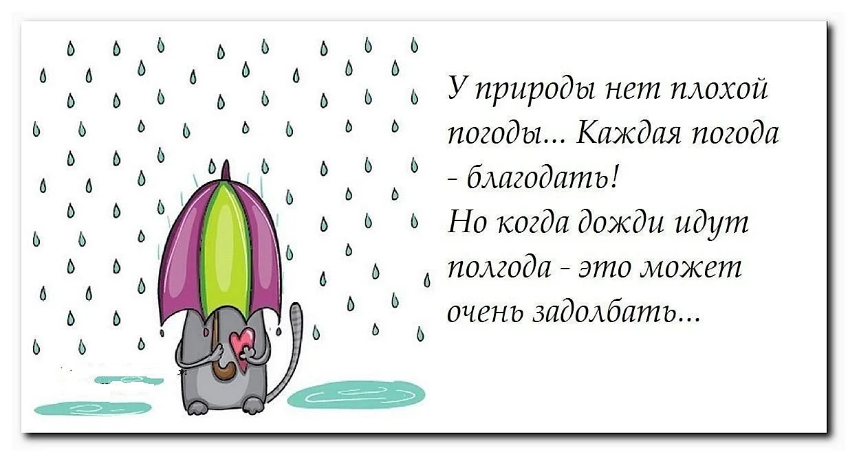 Смешные стихи про дождь