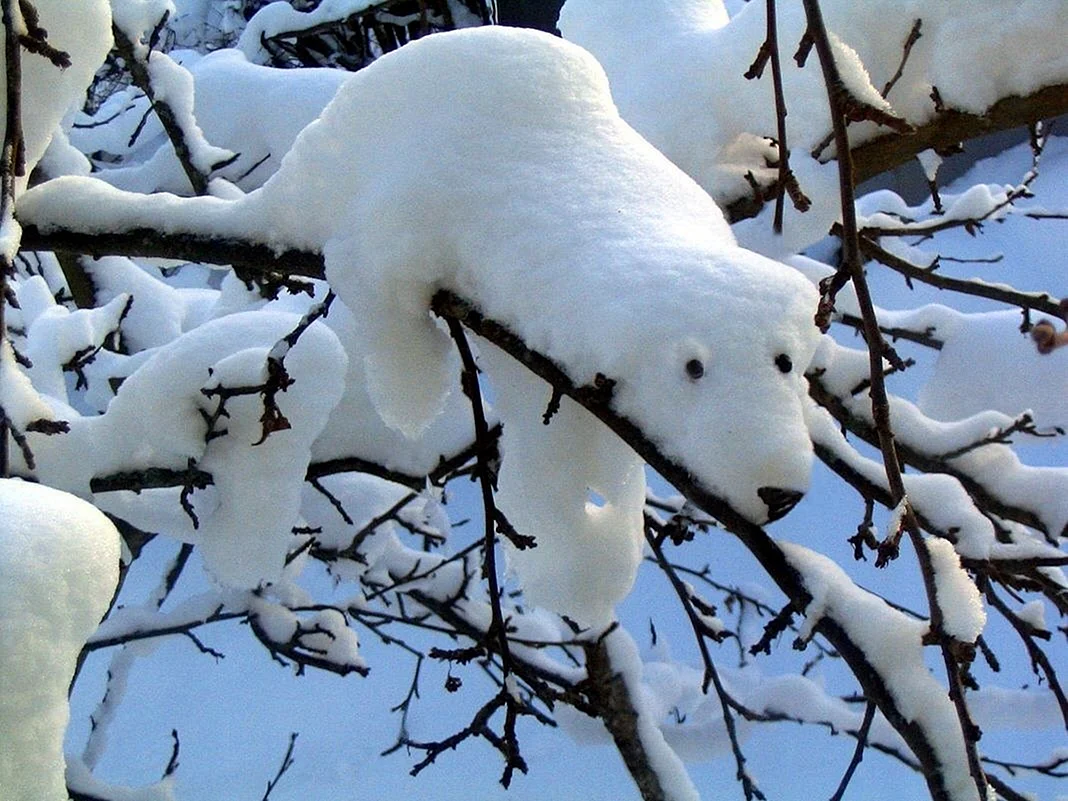 Снежные чудеса природы