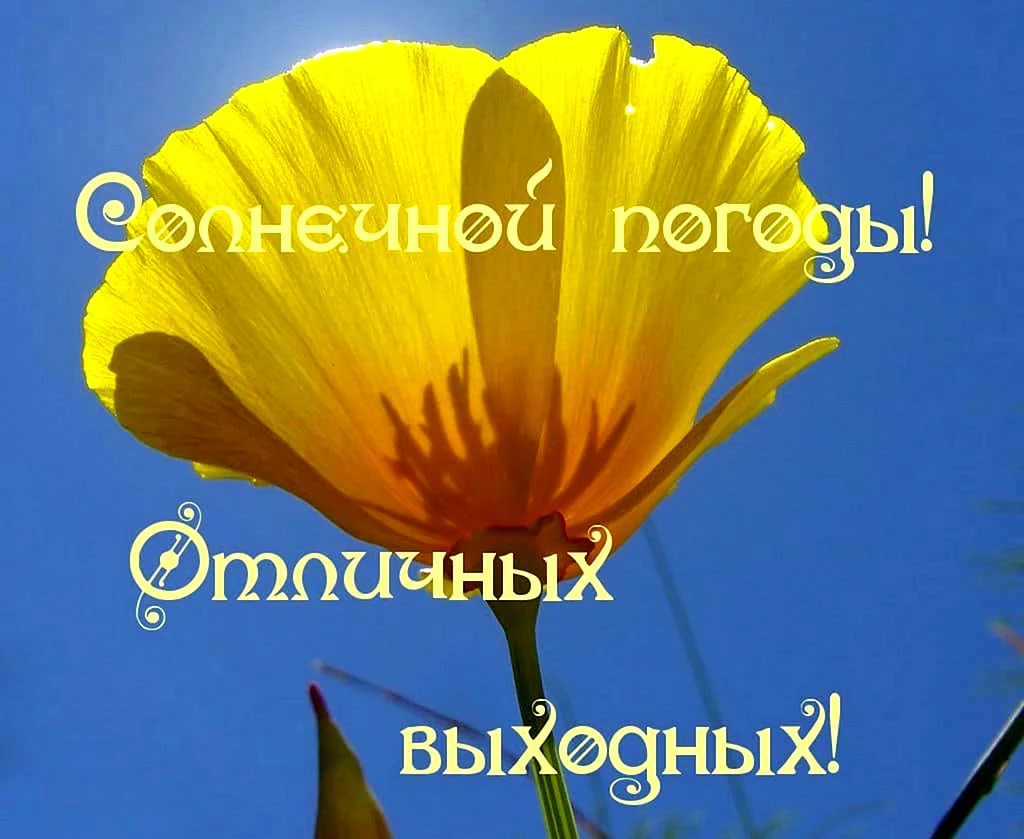 Солнечных выходных