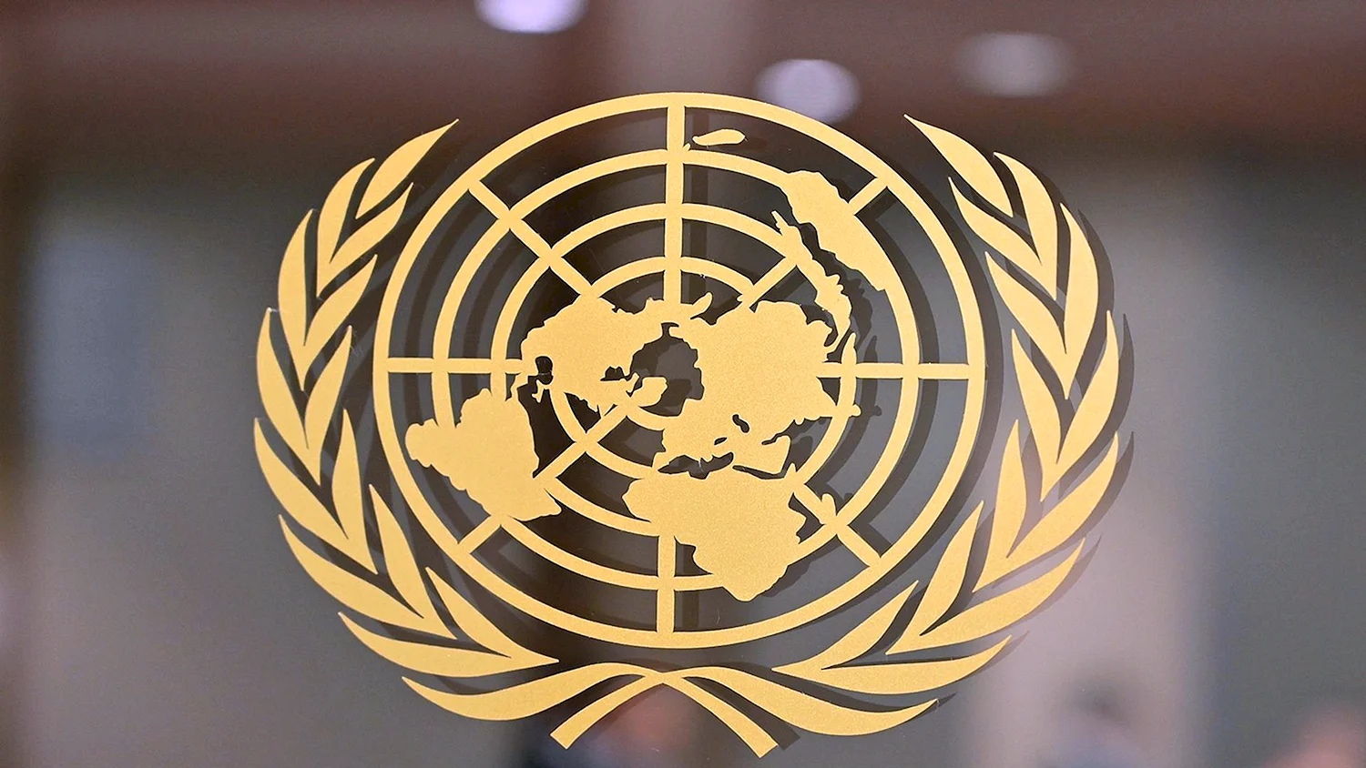 Совбез ООН эмблема
