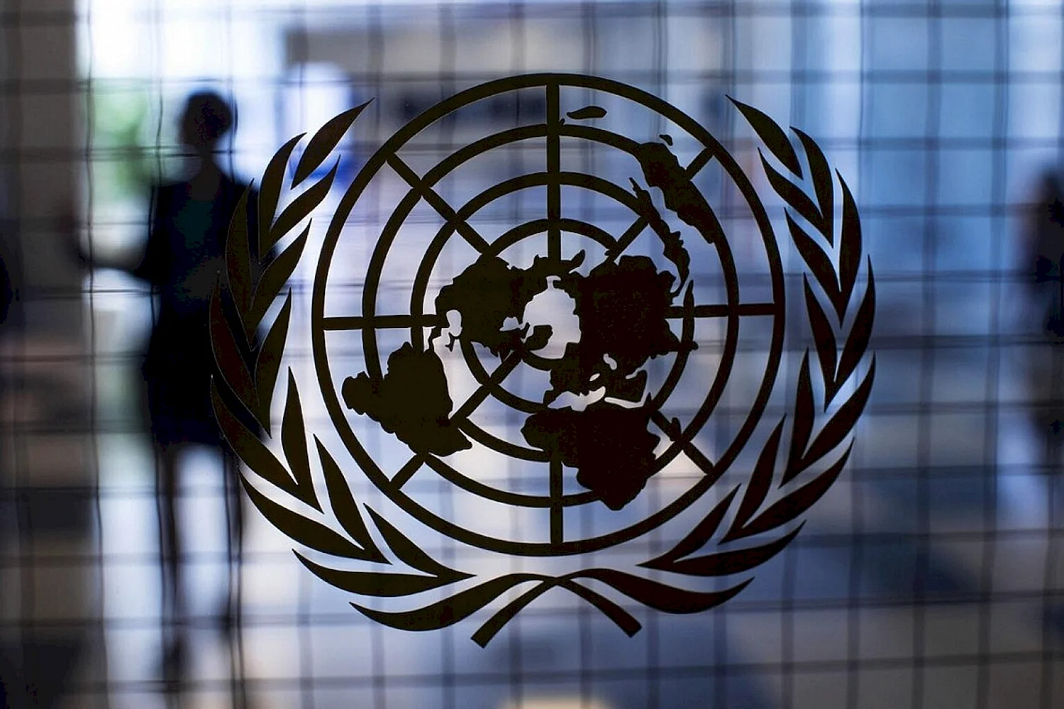 Совет по правам человека при ООН