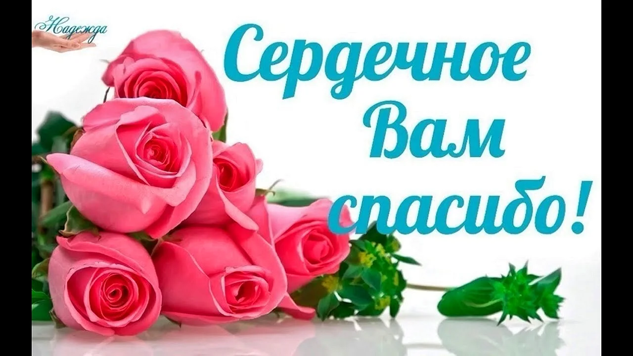 Спасибо вам
