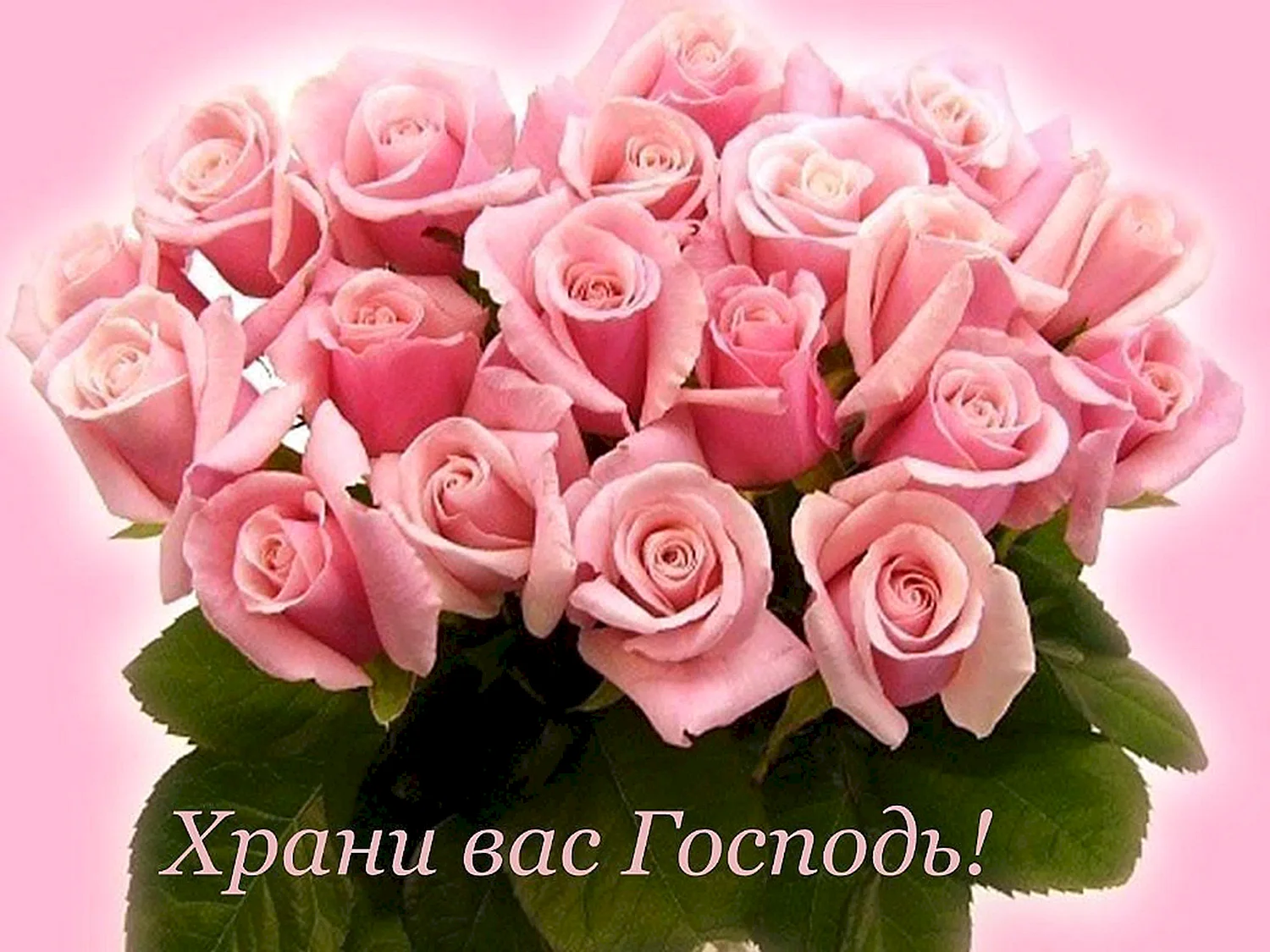Спасибо за доброту