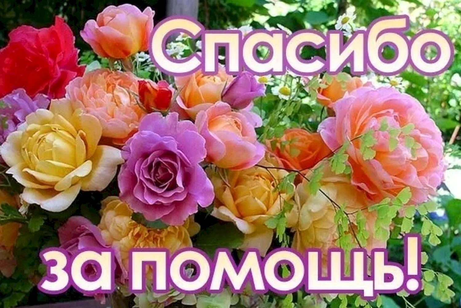 Спасибо за помощь