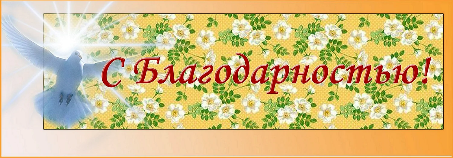 Спасибо за помощь