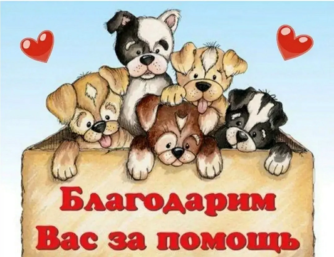 Спасибо за помощь