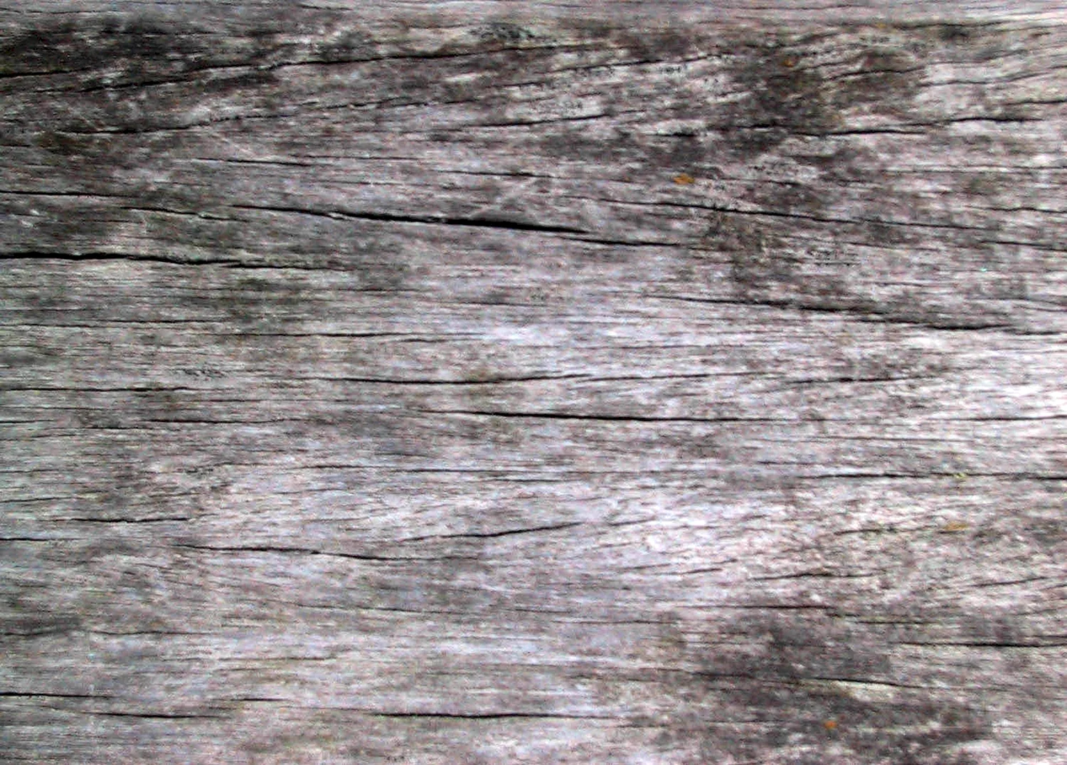 Текстура дерева для блендера