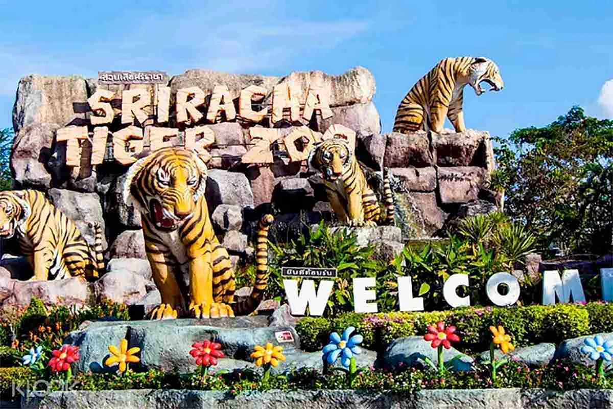 Тигровый зоопарк в Паттайе