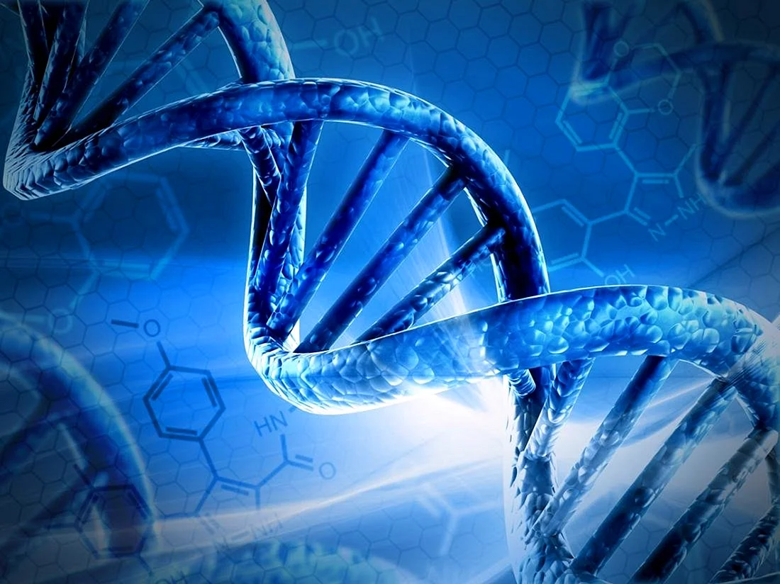 Цепочка ДНК DNA