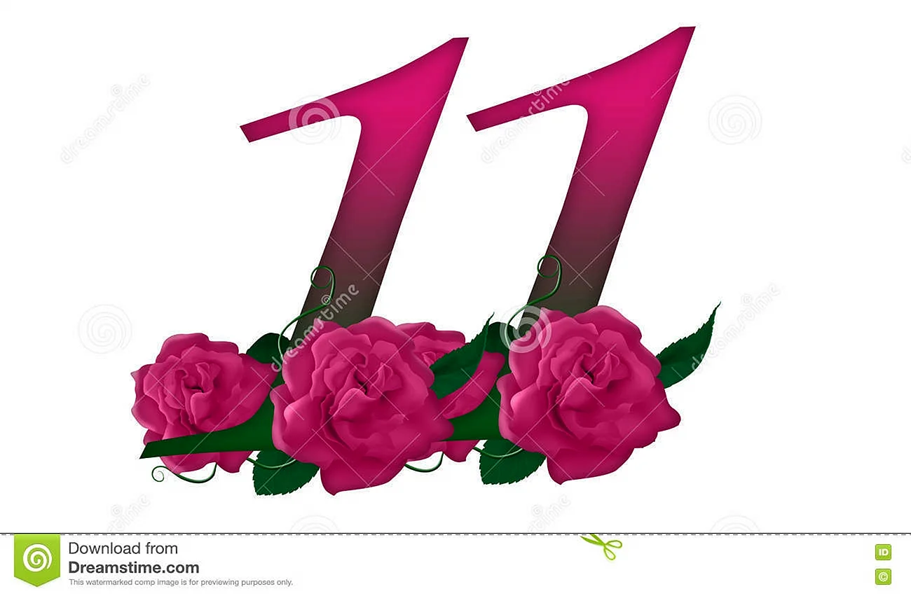 Цифра 11 в цветах