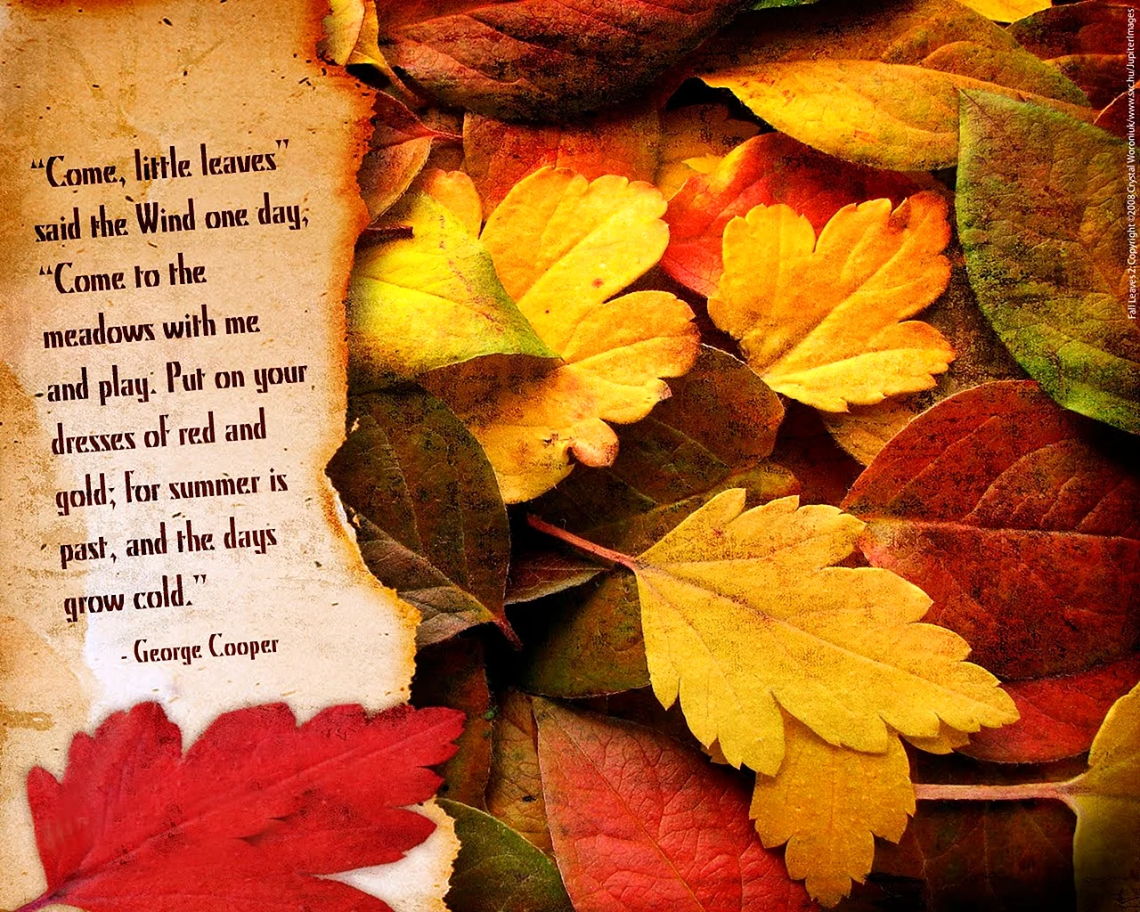Цитаты на тему осень