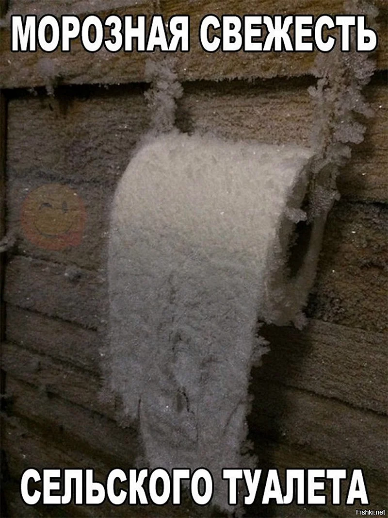 Туалетная бумага морозная свежесть