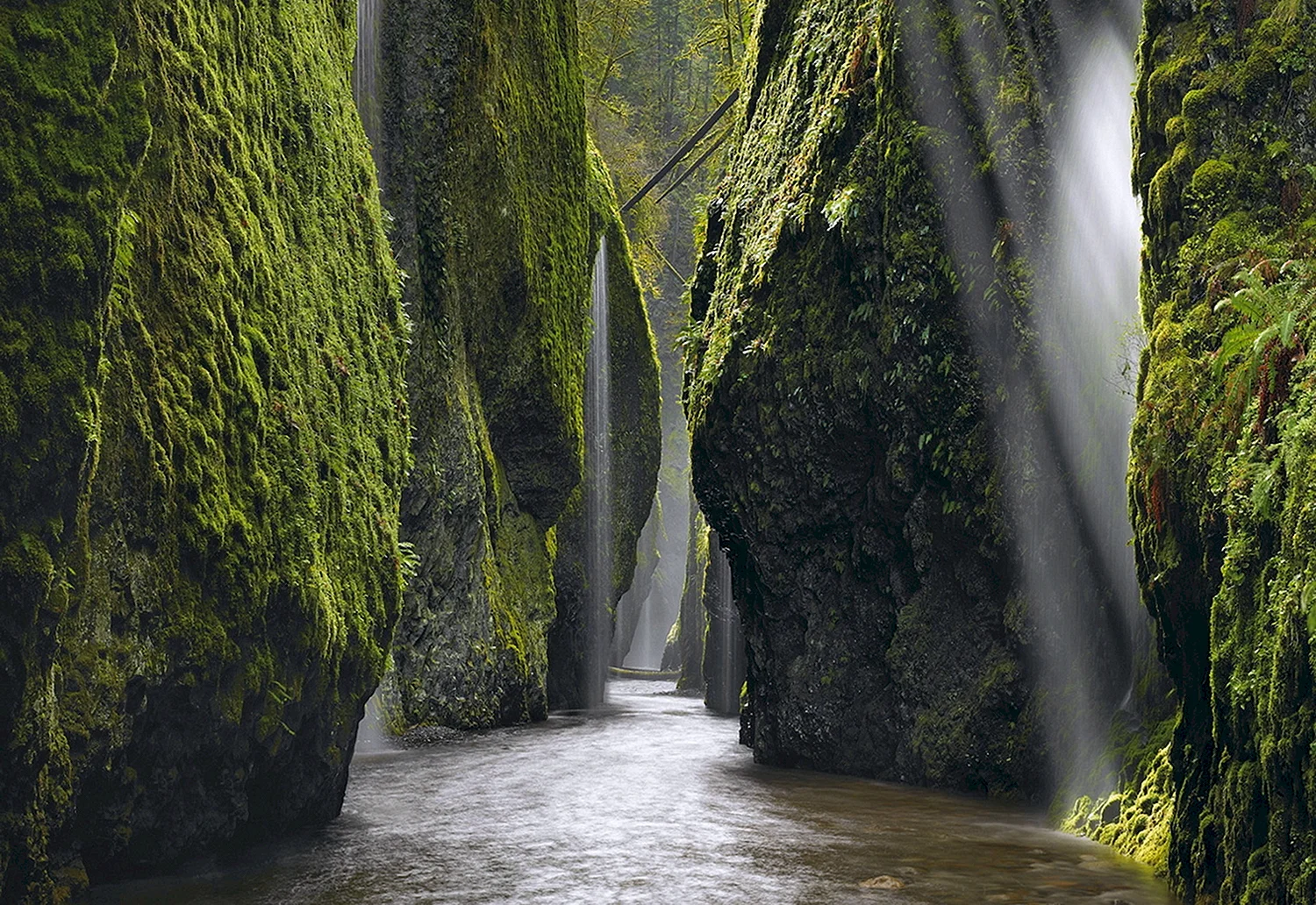 Ущелье реки Колумбия Орегон