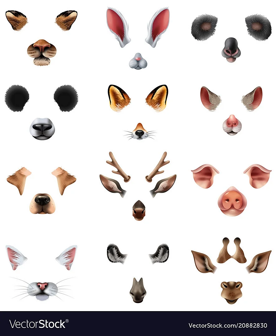 Уши животных