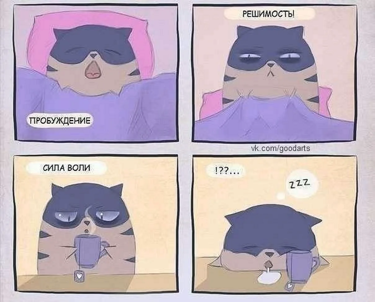 Утренние мемы с котиками