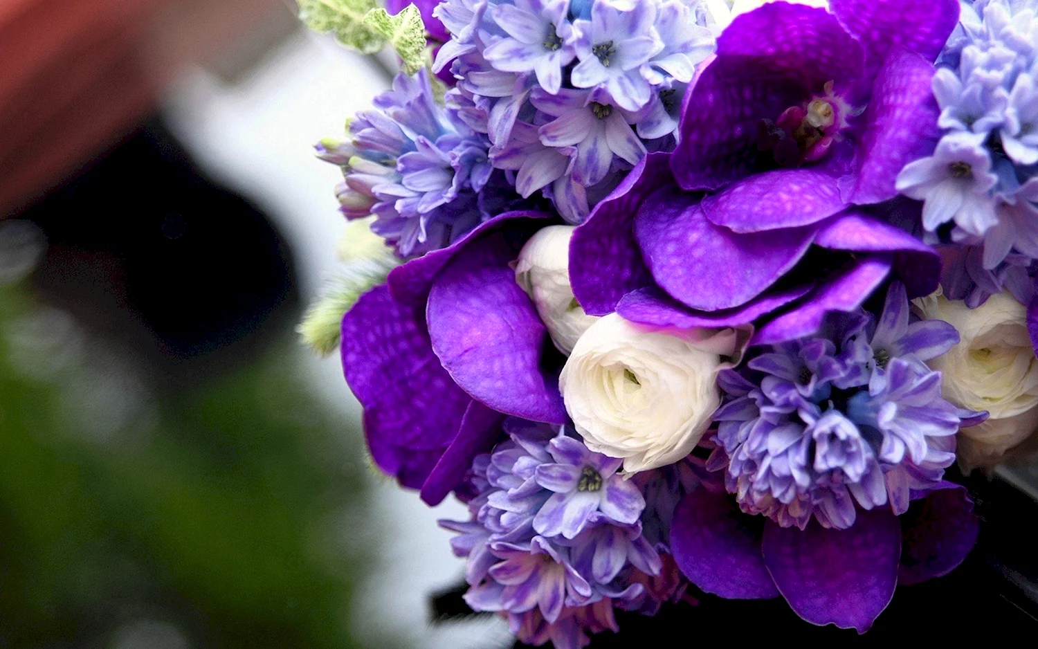 Ванда Орхидея белая с фиолетовым