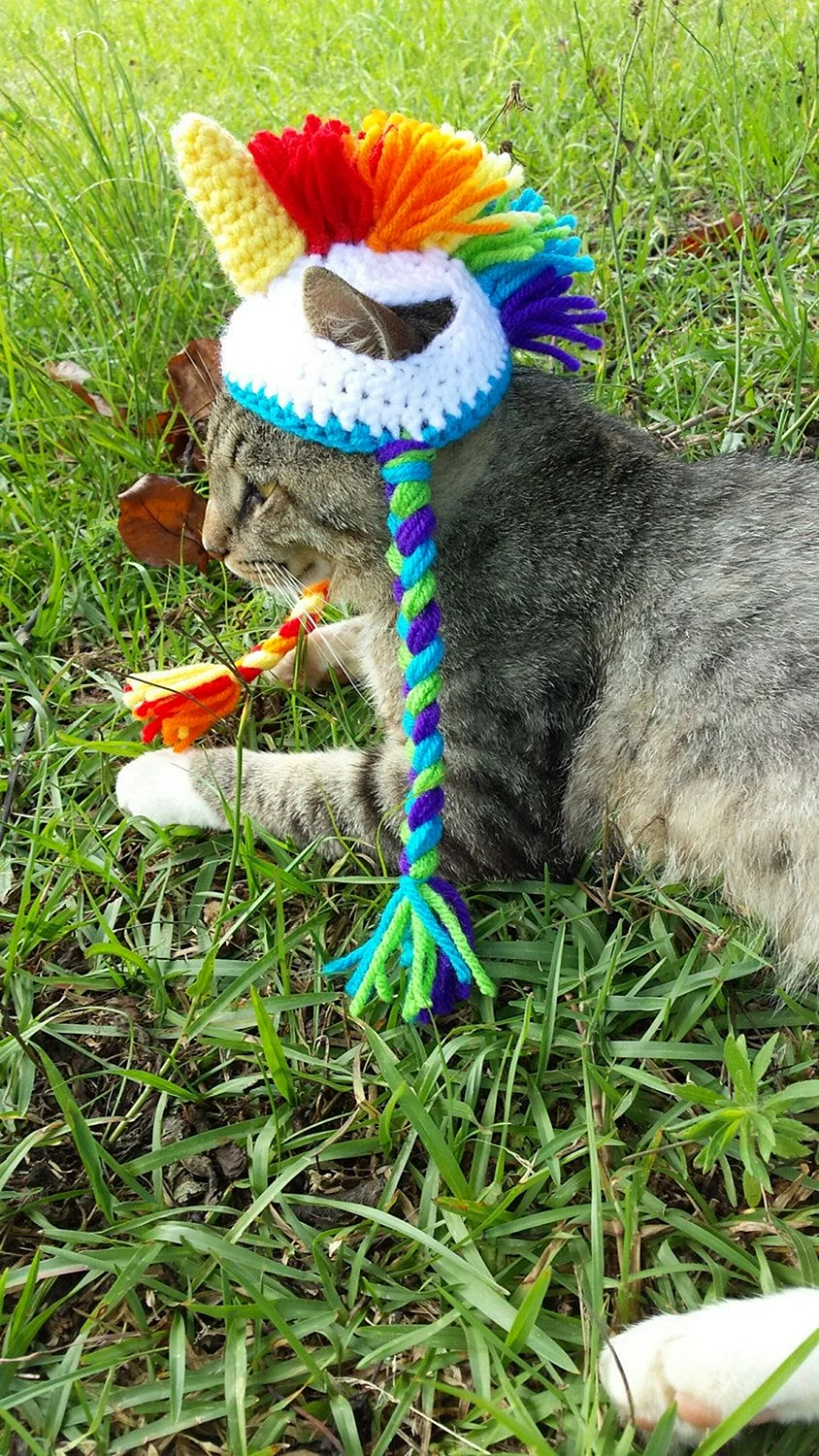 Вязанные шапочки для котов
