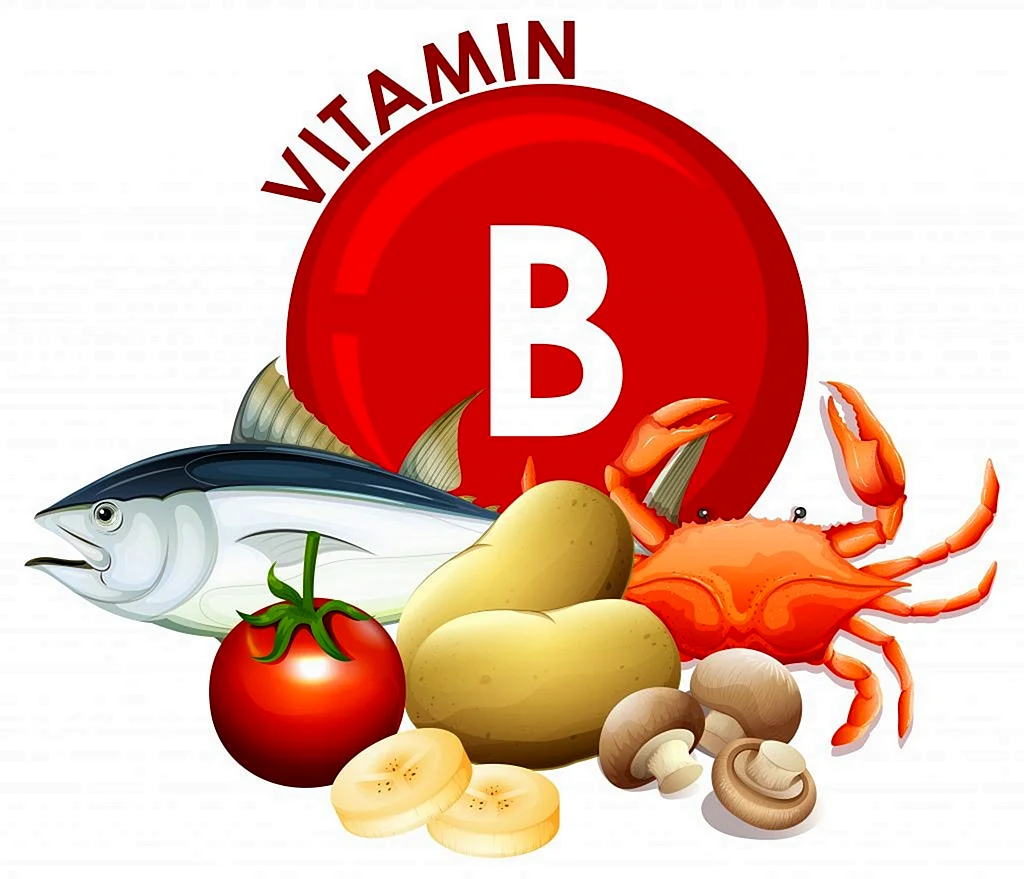 Витамин b