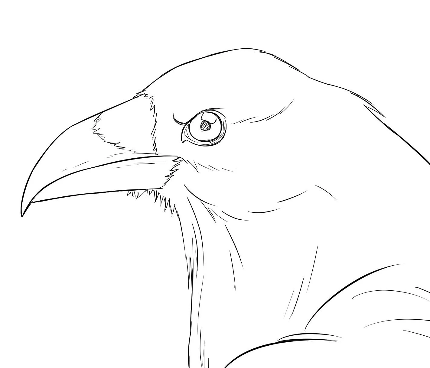Ворона рисунок карандашом