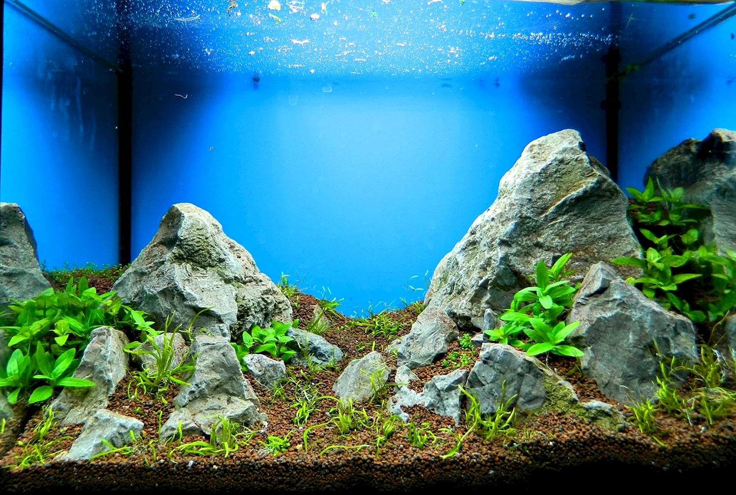 Задний фон для аквариума