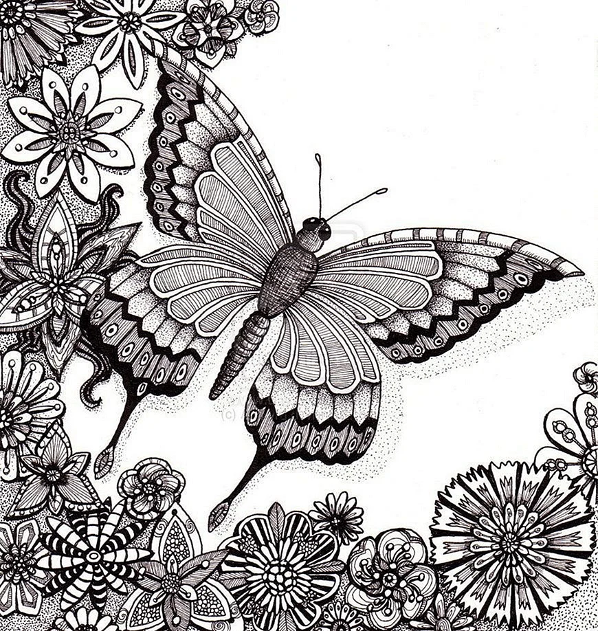 Зентангл бабочка