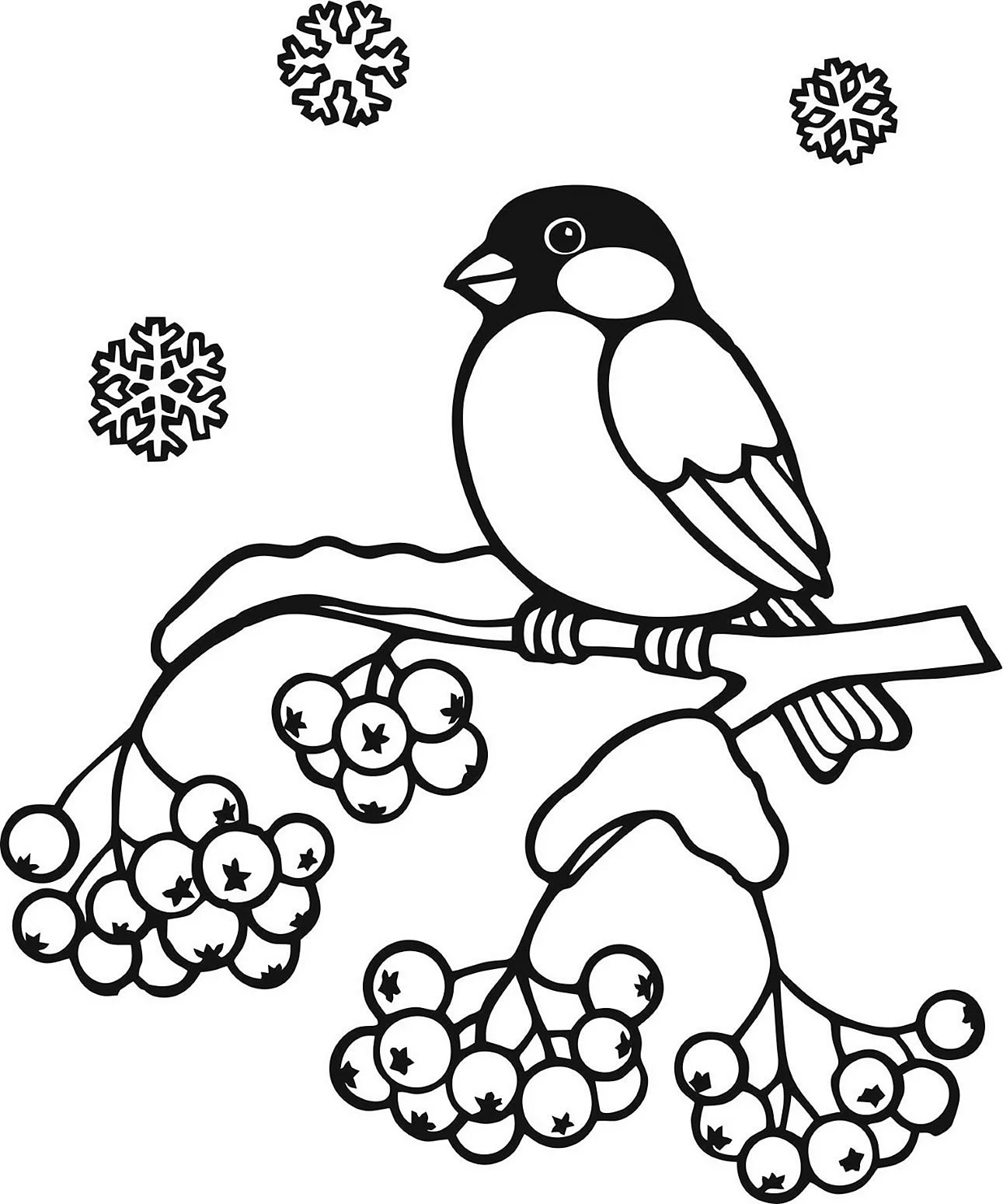 Зимующие птицы Снегирь раскраска