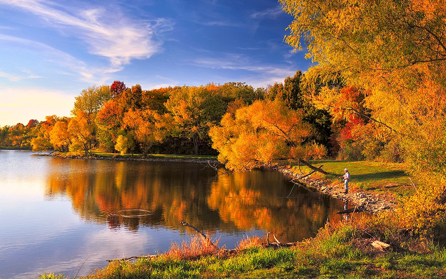 Золотая осень лес река