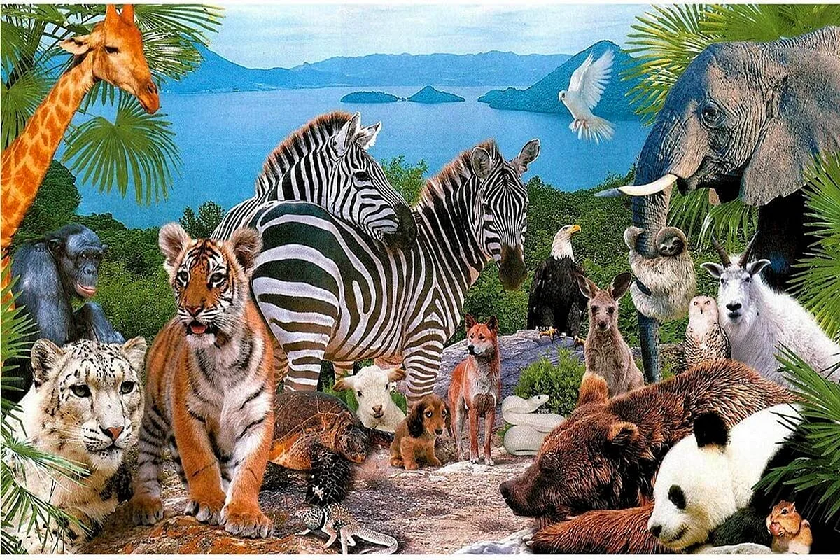 Зоология животные