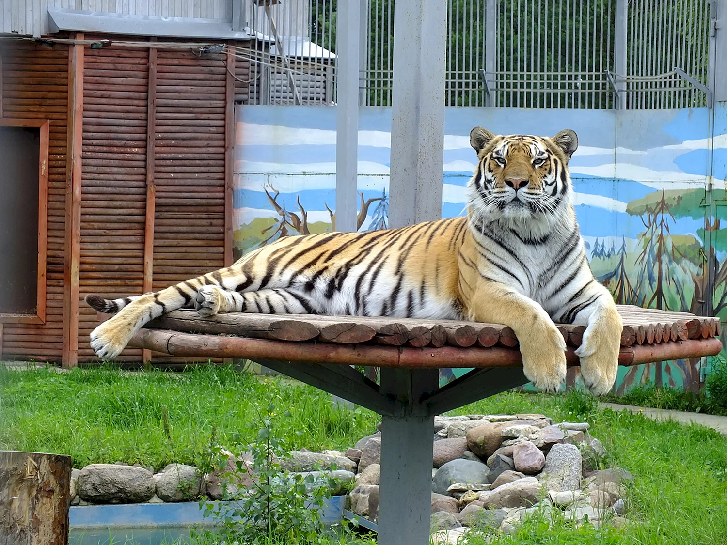 Зоопарк Ярославль