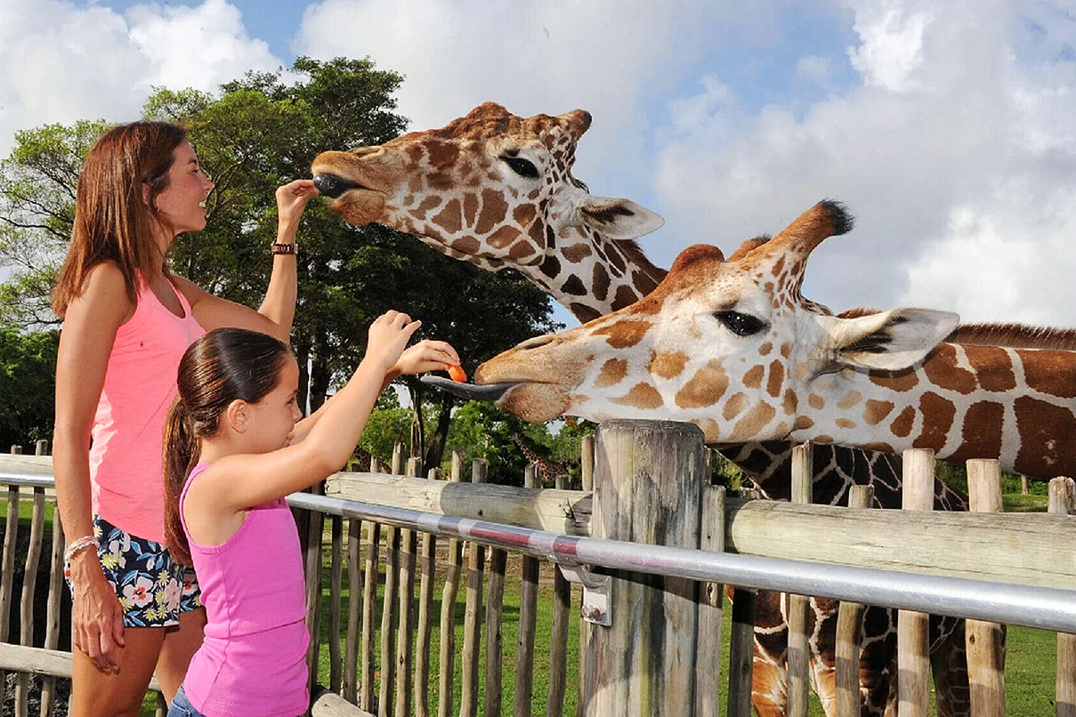Зоопарк Майами (Zoological Wildlife Foundation)