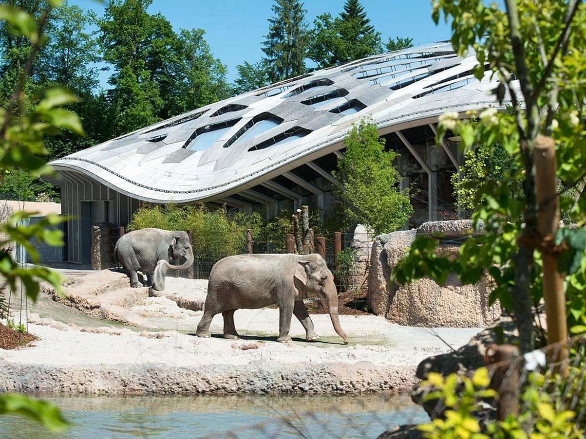 Зоопарк Цюриха в Швейцарии