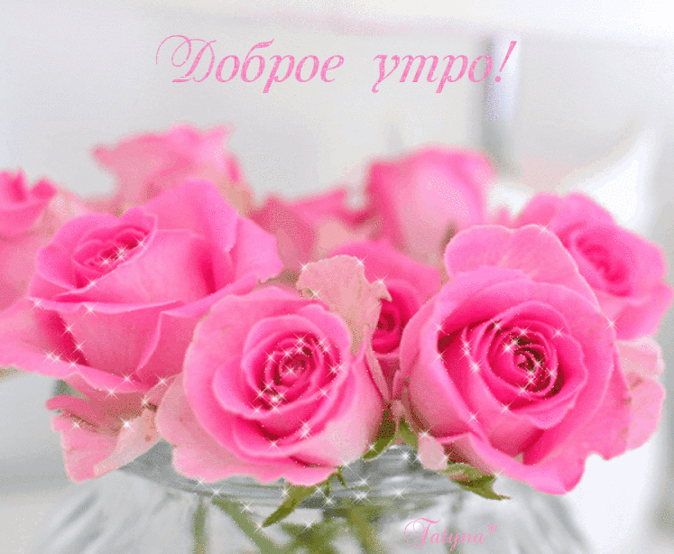 Открытки розы красивые с добрым утром. Нежные розы. Розочка хорошего дня. Нежные розовые розы. Доброе утро розовые розы.