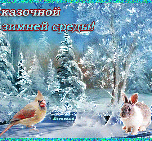 Доброе зимнее утро среды