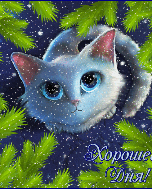 Доброго дня гиф