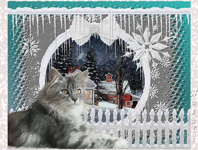 Открытка зимняя. Зимние мерцающие открытки. Зимнее настроение. Доброго зимнего дня с кошками.