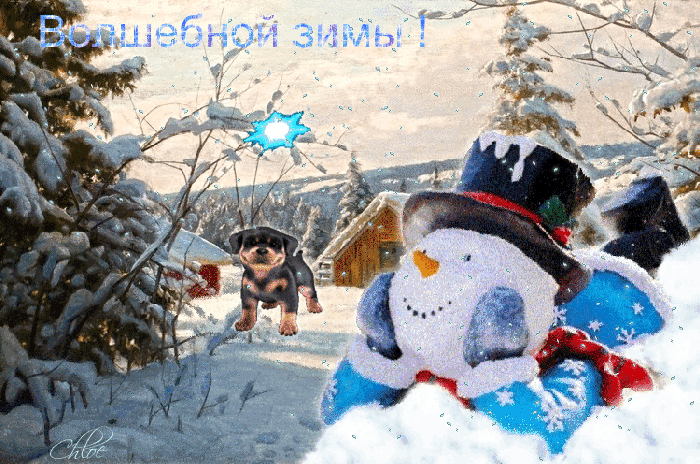 Снежный день на русском. Радостного зимнего дня. Снежки анимация. Доброго дня снег гиф. Зима Живая.