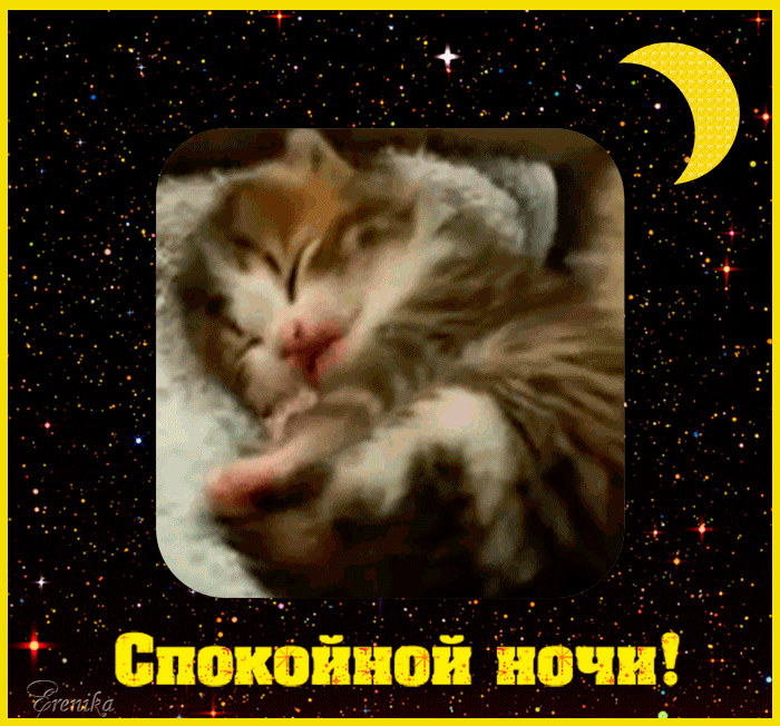 Гифки котиков спокойной ночи. Анимированная открытка спокойной ночи. Веселые открытки спокойной ночи. Гифы спокойной ночи прикольные. Доброй ночи с котятами.