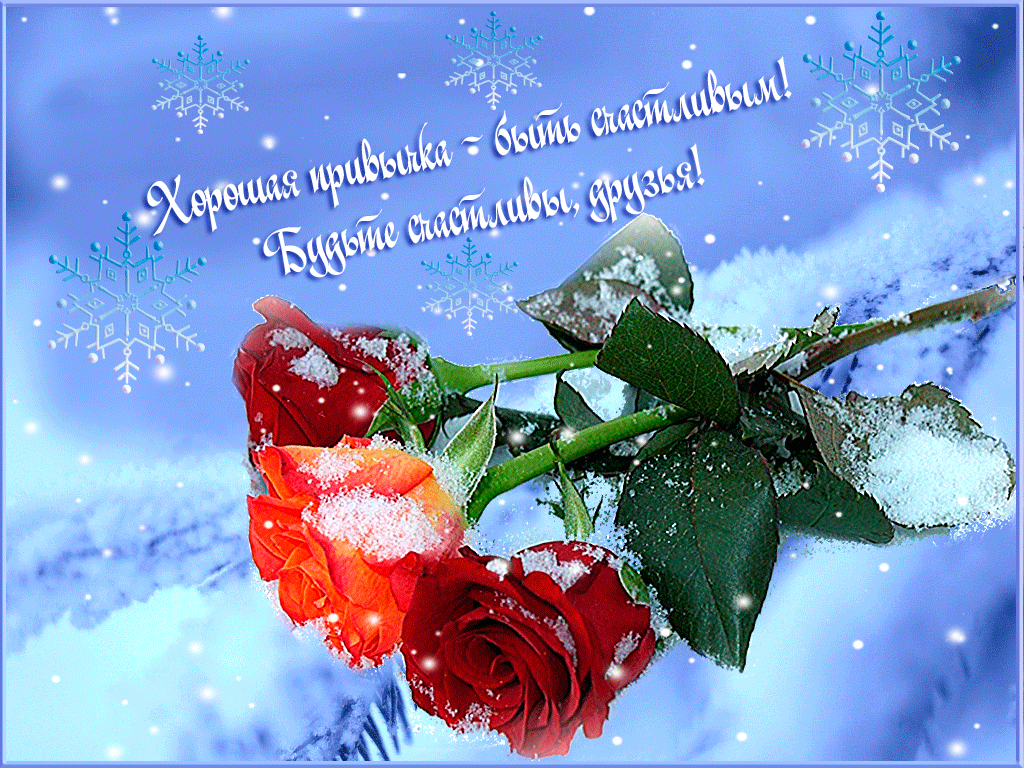 Хорошего дня друзьям зимние. Зимние открытки с пожеланиями. Зимние цветы. Пожелания счастья и добра зимой. Открытка с зимними цветами.